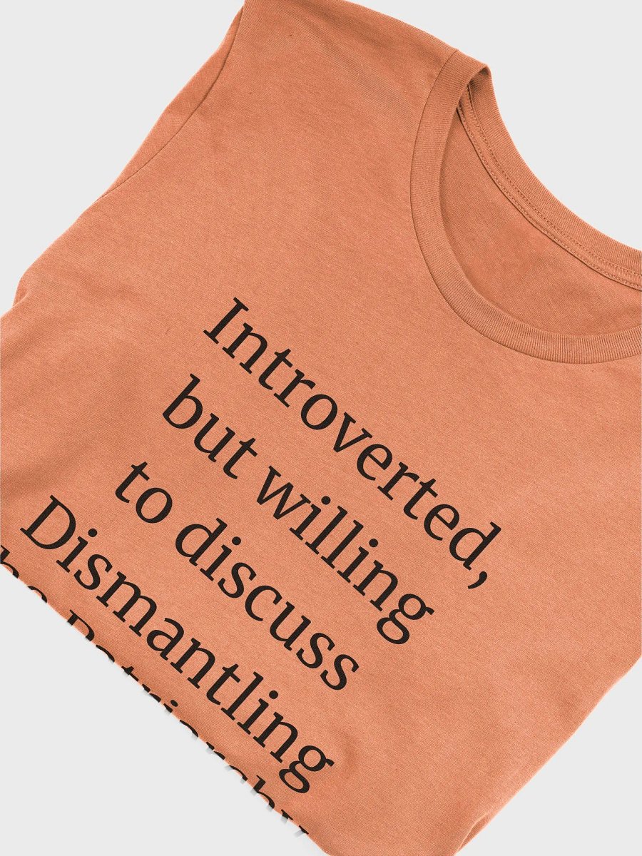 T-Shirt: Dismantling the Patriarchy product image (4)