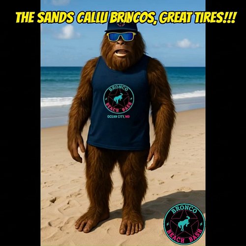 🌊🐎 The countdown is ON! Bronco Beach Bash 2025 is rolling into Ocean City, MD Oct 31 – Nov 2!
👉 Register now at broncobeachba...