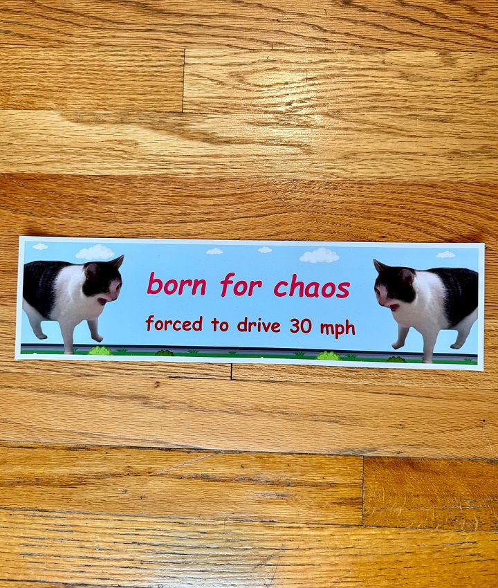 Born for chaos forced to drive 30 mph large bumper sticker product image (2)