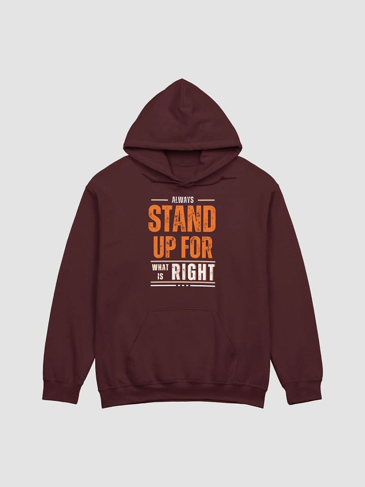 Always Stand Up For What Is Right product image (16)