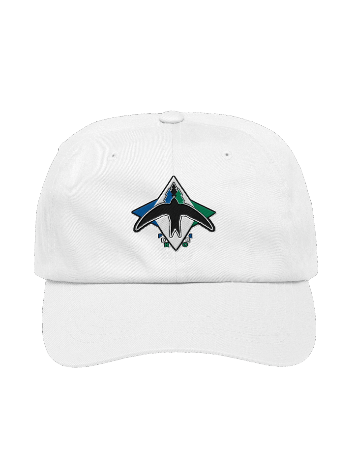 Portland Swifts Ballcap product image (1)