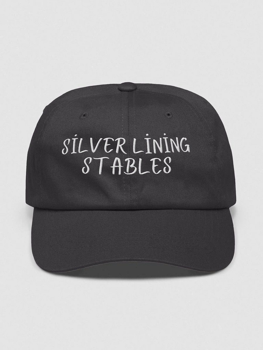 Classic Comfort Dad Hat product image (1)
