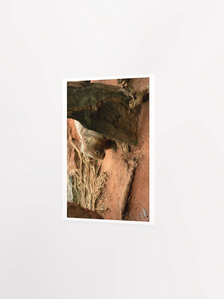 The Wombat - Print product image (2)