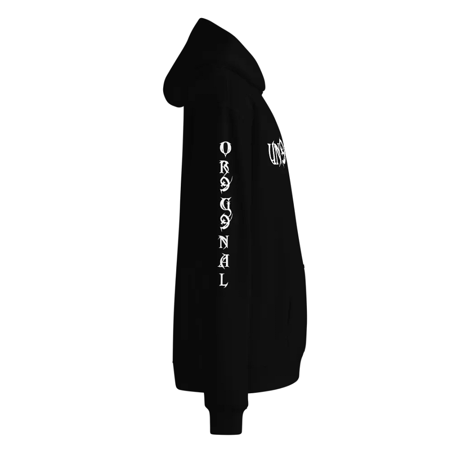 Swayle's Hoodie Black Version product image (4)
