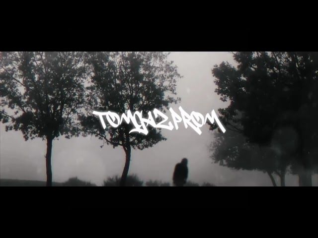 ladenschluss - bushido x icegergert type beat product image (1)