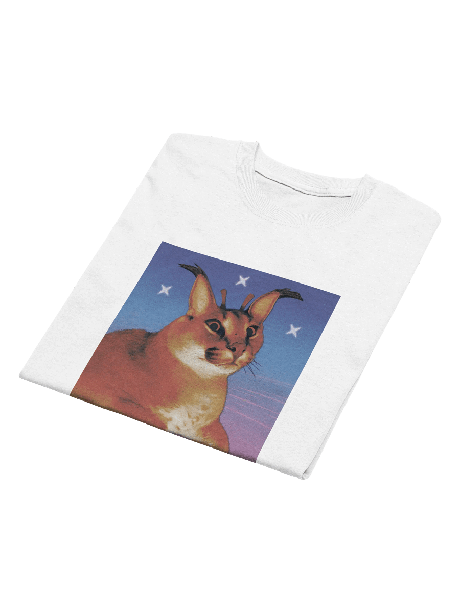 ALIEN FLOPPA MINIMALISTIC TEE (⏃⌰⟟⟒⋏ ⋔⟟⋏⟟⋔⏃⌰⟟⌇⏁⟟☊ ⎎⌰⍜⌿⌿⏃) product image (34)