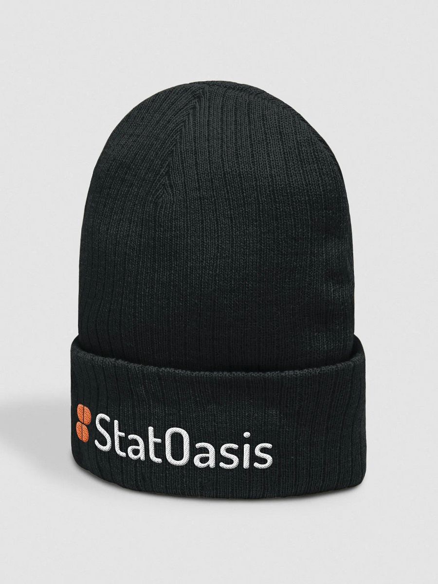 StatOasis Official benie product image (3)