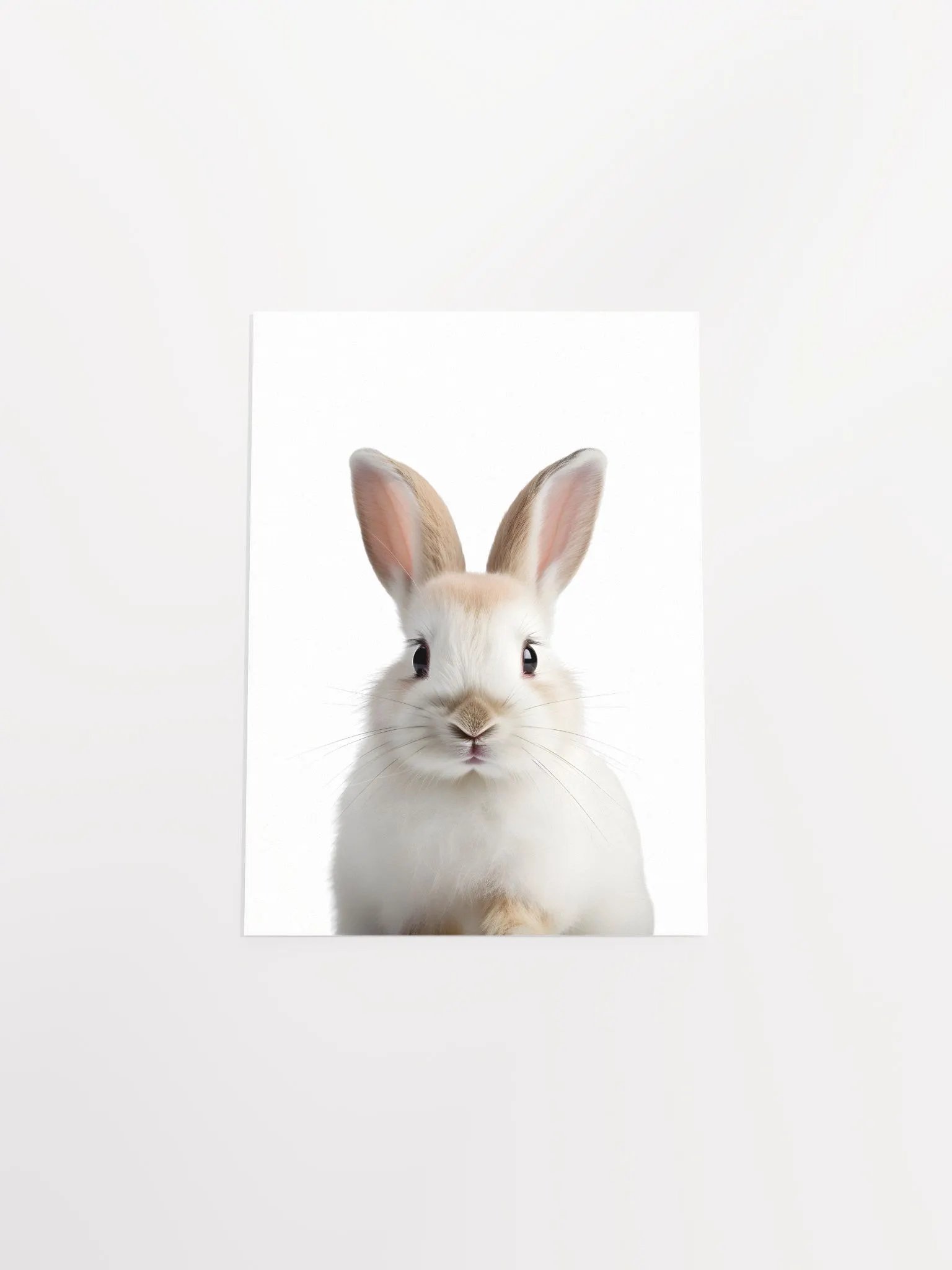 Fluffy Bunny Bliss Print product image (6)