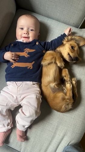 🐾 When your best buddy is also your smallest fan! 😄❤️ 👶🐶 
.
👉 Follow @winnie_the_slinker 
.

#DachshundLove #DachshundPuppyFu...