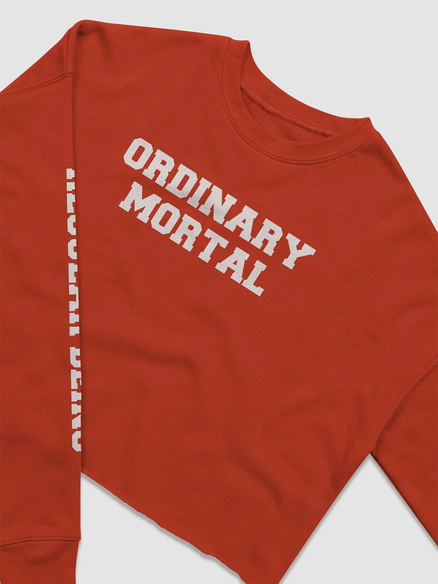 (2 sided) Ordinary Human crop sweatshirt product image (3)