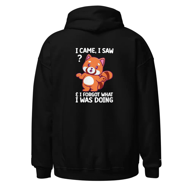 FORGOTTEN Panda Hoodie product image (1)