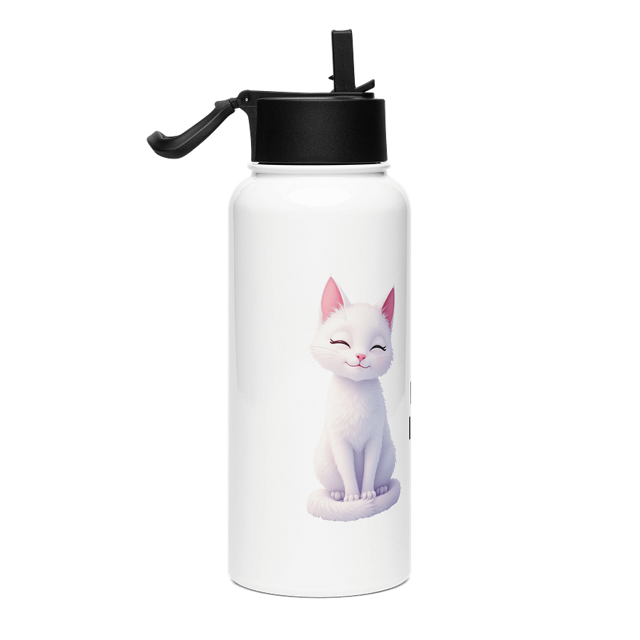 Claudia Stainless Steel Water Bottle with a Straw Lid product image (4)