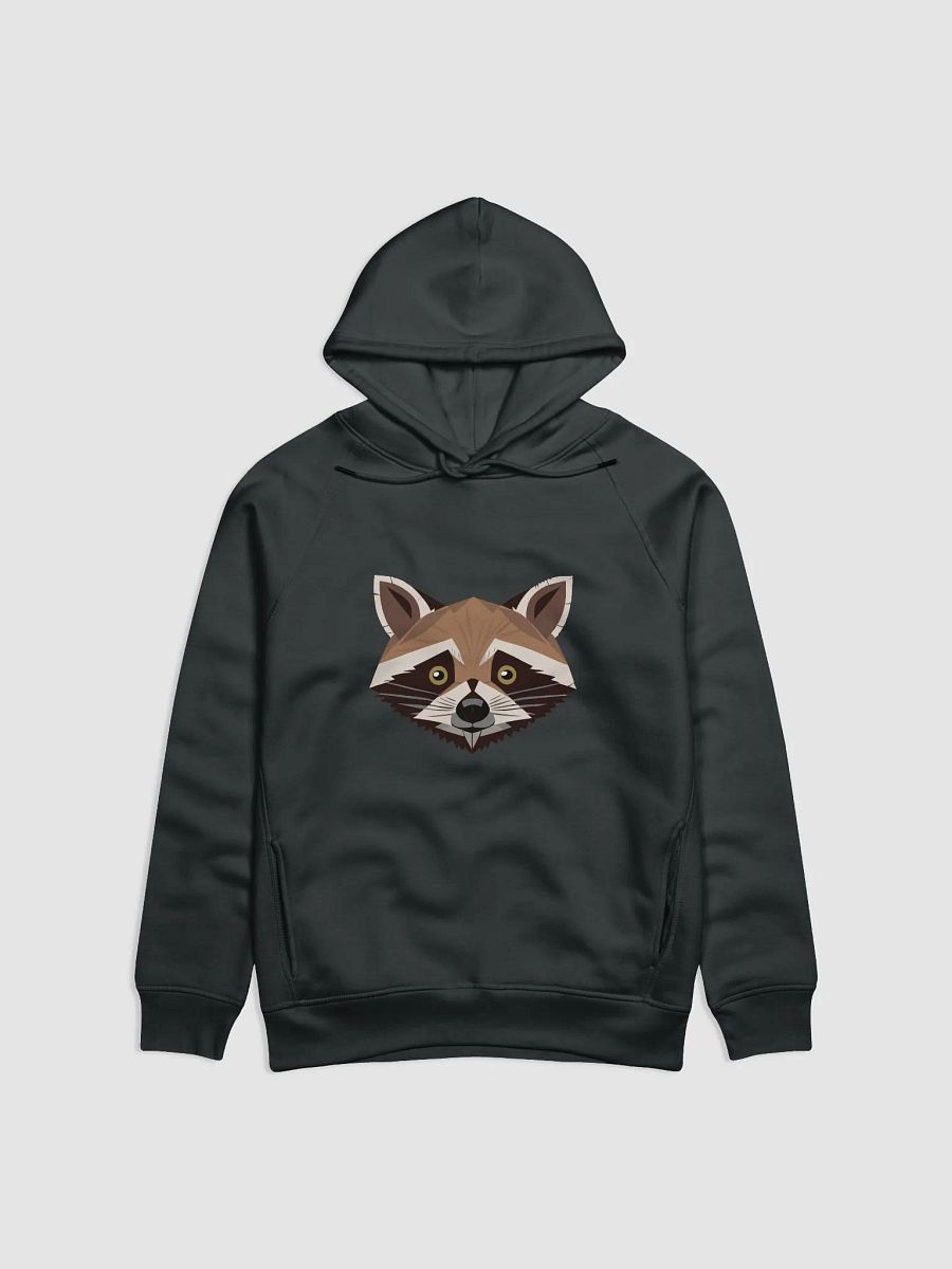 Raccoon hoodie product image (1)