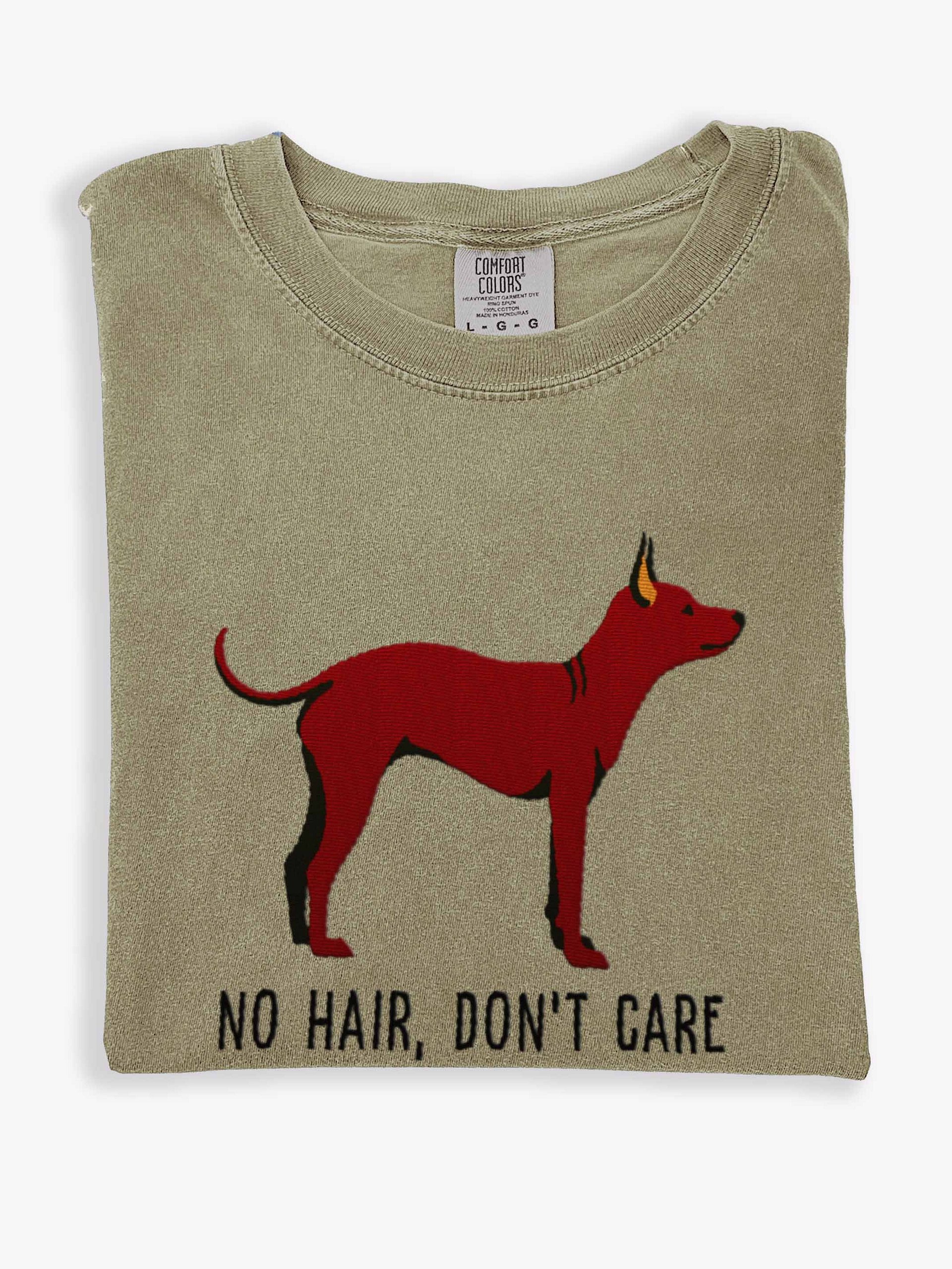 No Hair, Don't Care T-Shirt(Embroidered) of an American Hairless Terrier(Chocolate) product image (1)