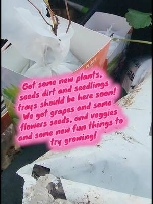 So excited to share my new plants, dirt and seeds! #tinahartart #mywildgarden #gardening 