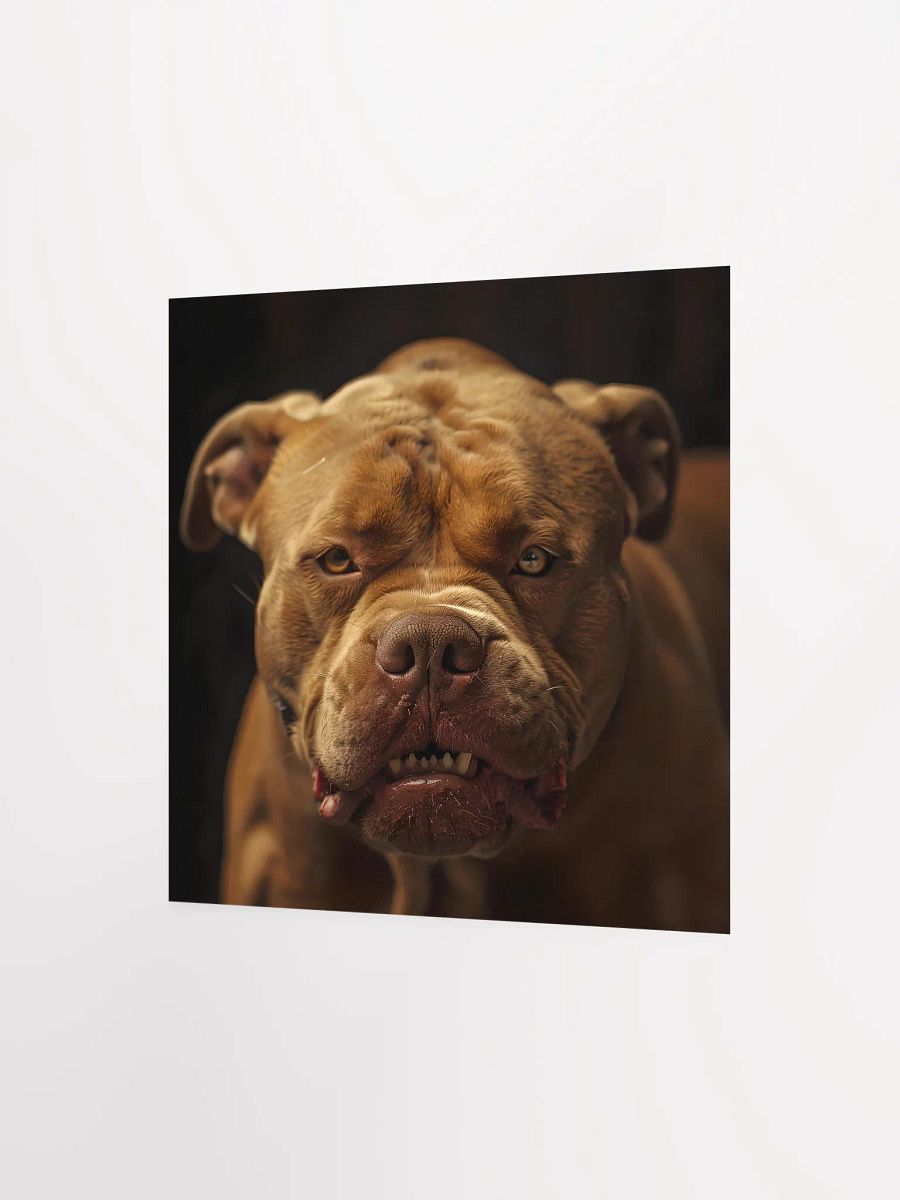 Mad Pitbull product image (8)