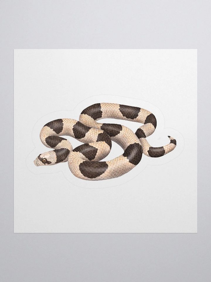 Die-Cut Sticker – Saddled Leaf-nosed Snake product image (2)