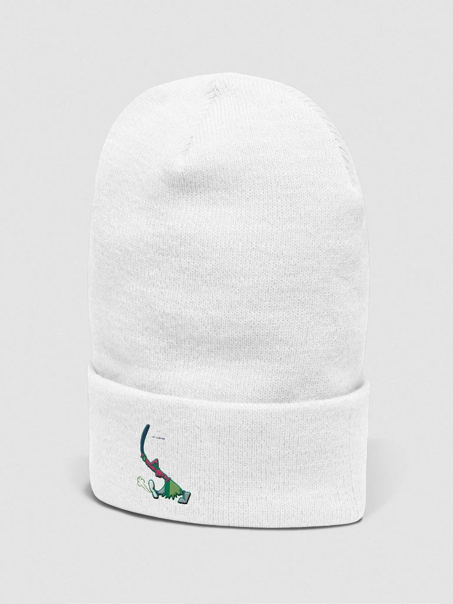 Broom – I am Leaving. product image (2)