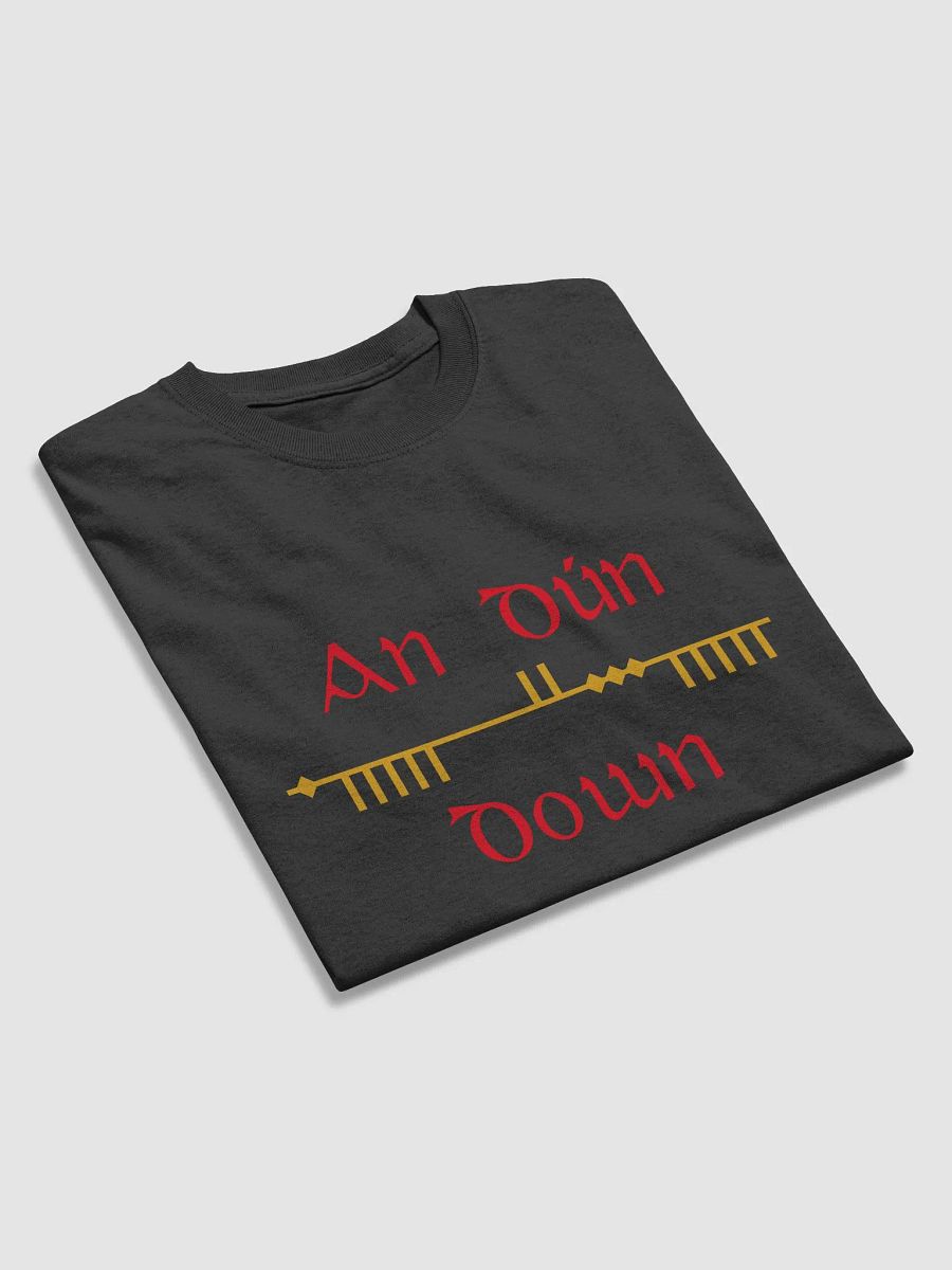 Down/An Dún Scholastic style Ogham Printed T-shirt product image (5)