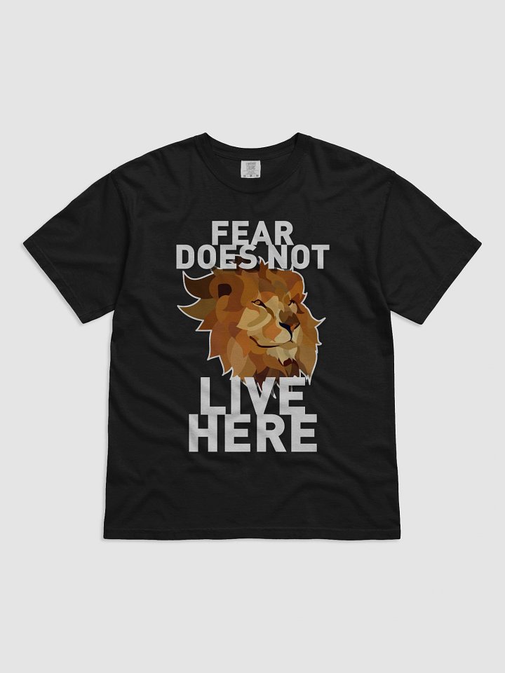 FEAR DOES NOT LIVE HERE product image (6)