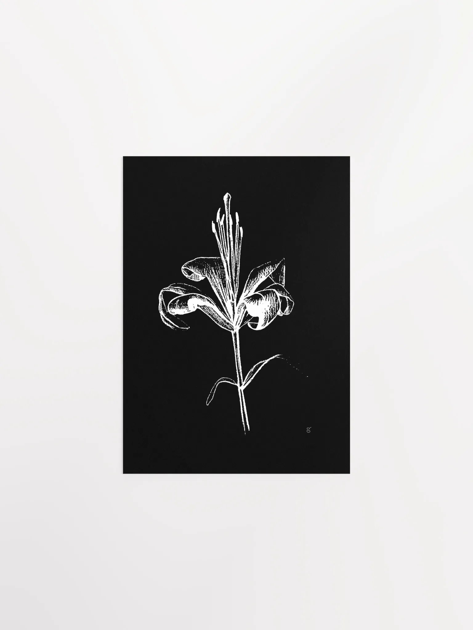 Ethereal Lily Sketch Poster - Fine Flower Dark product image (1)