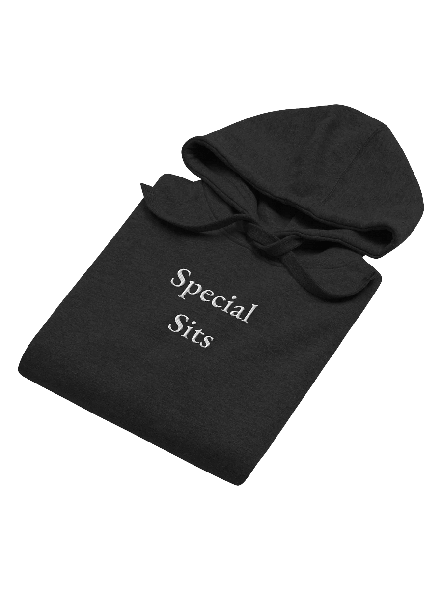 Special Sits - Hoodie product image (4)