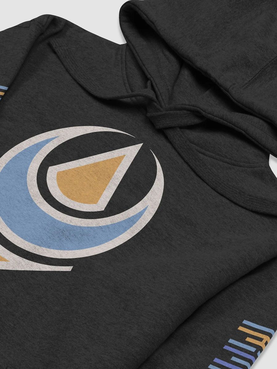 Rav Logo Coloured Back Front 'n' Sleeves Hoodie product image (3)