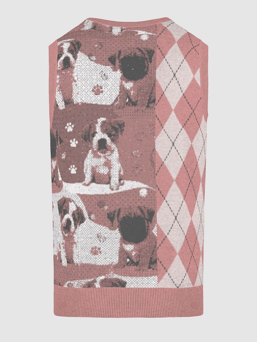 Argyle Paws Knitted V-Neck Vest product image (4)