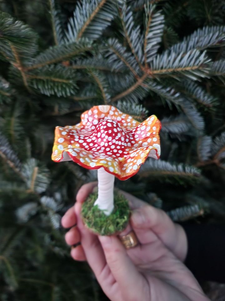 Red Mushroom product image (1)