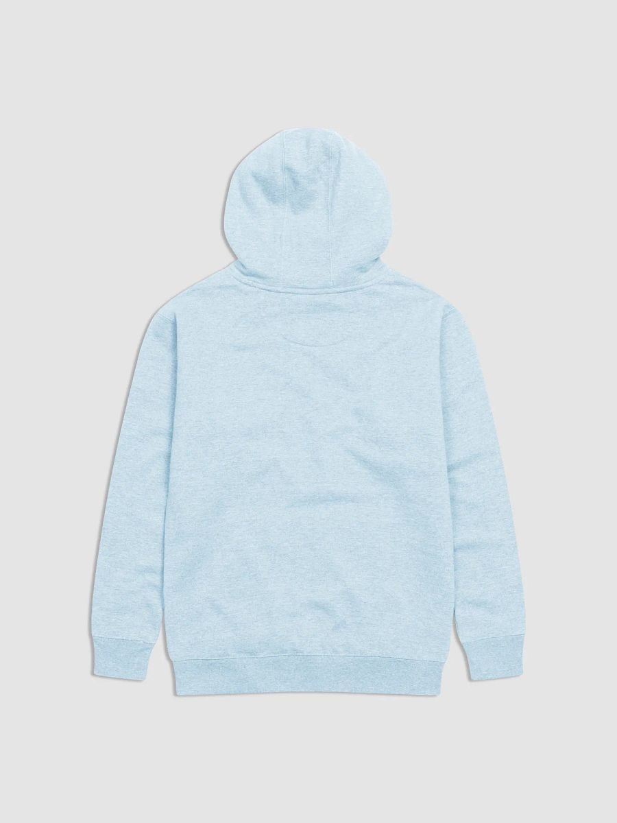 Chip and Dawson hoodie product image (23)