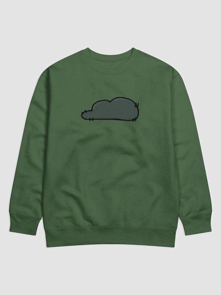 Dyan's Signature Green Sweater product image (1)