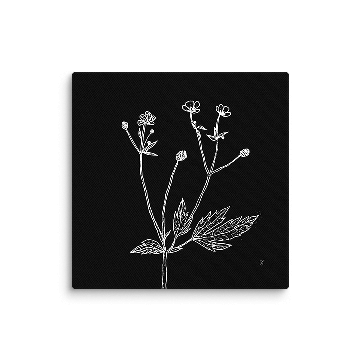 Botanical Reverie Canvas Prints - Wild Flowers Dark product image (1)