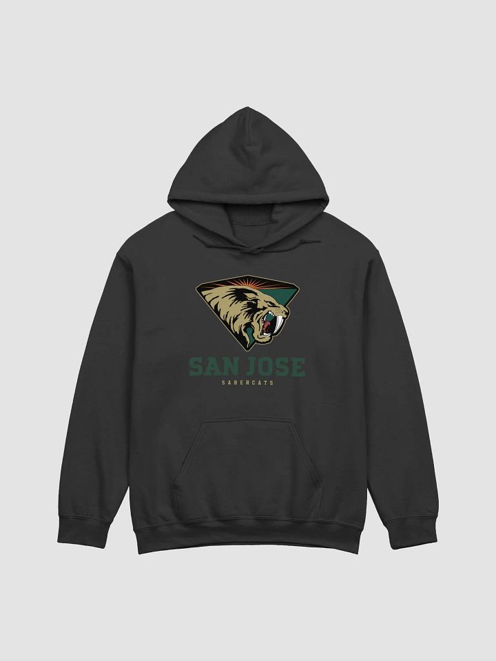 San Jose SaberCats Classic Hoodie by Gildan product image (2)