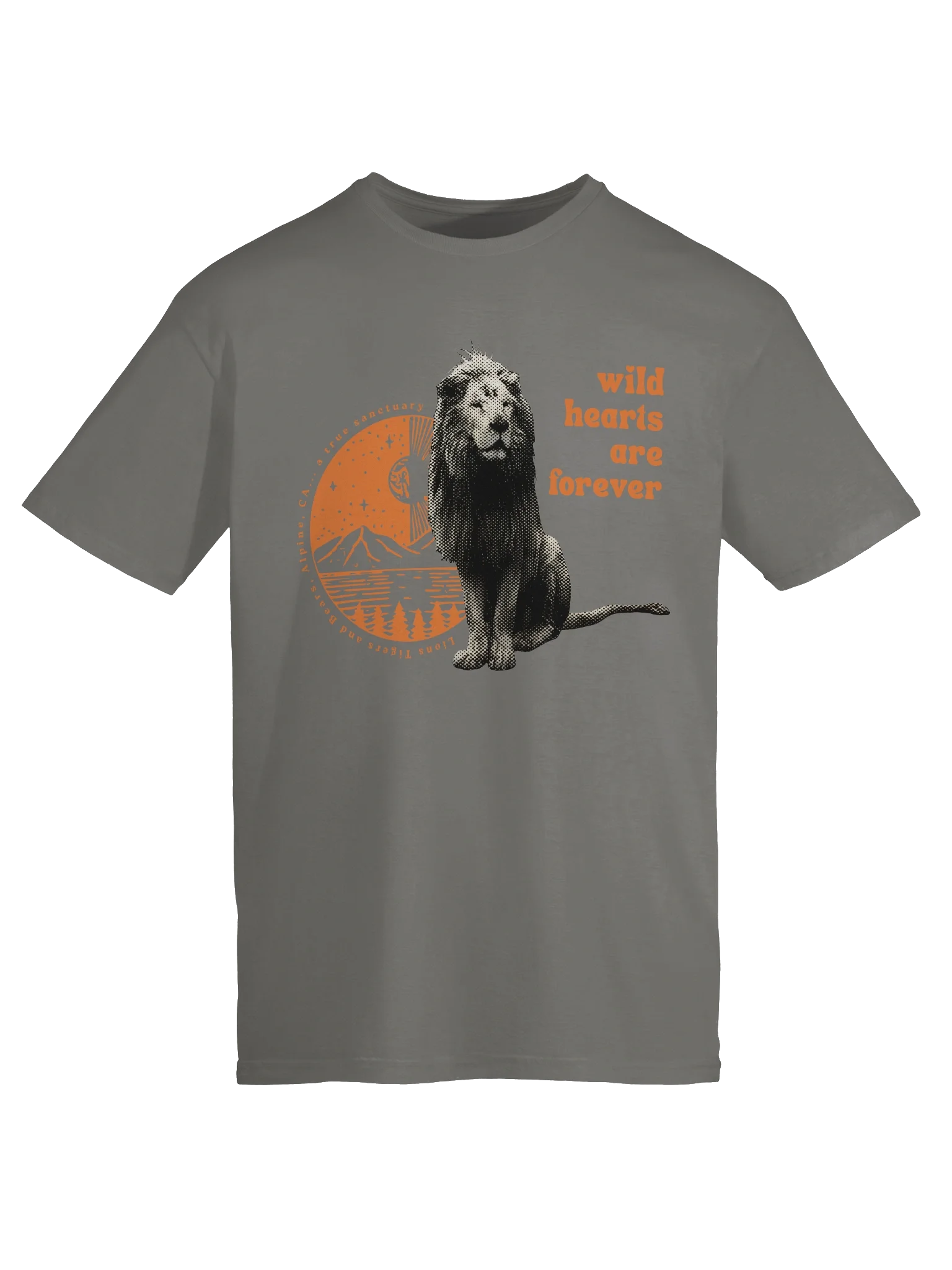 Wild Hearts Soft-style Tee product image (9)