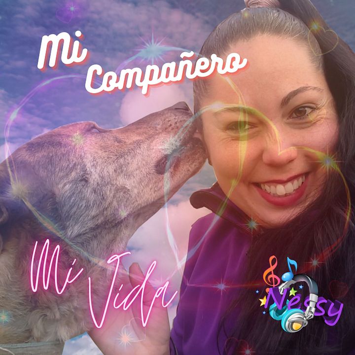 Mi Compañero - Canción product image (1)