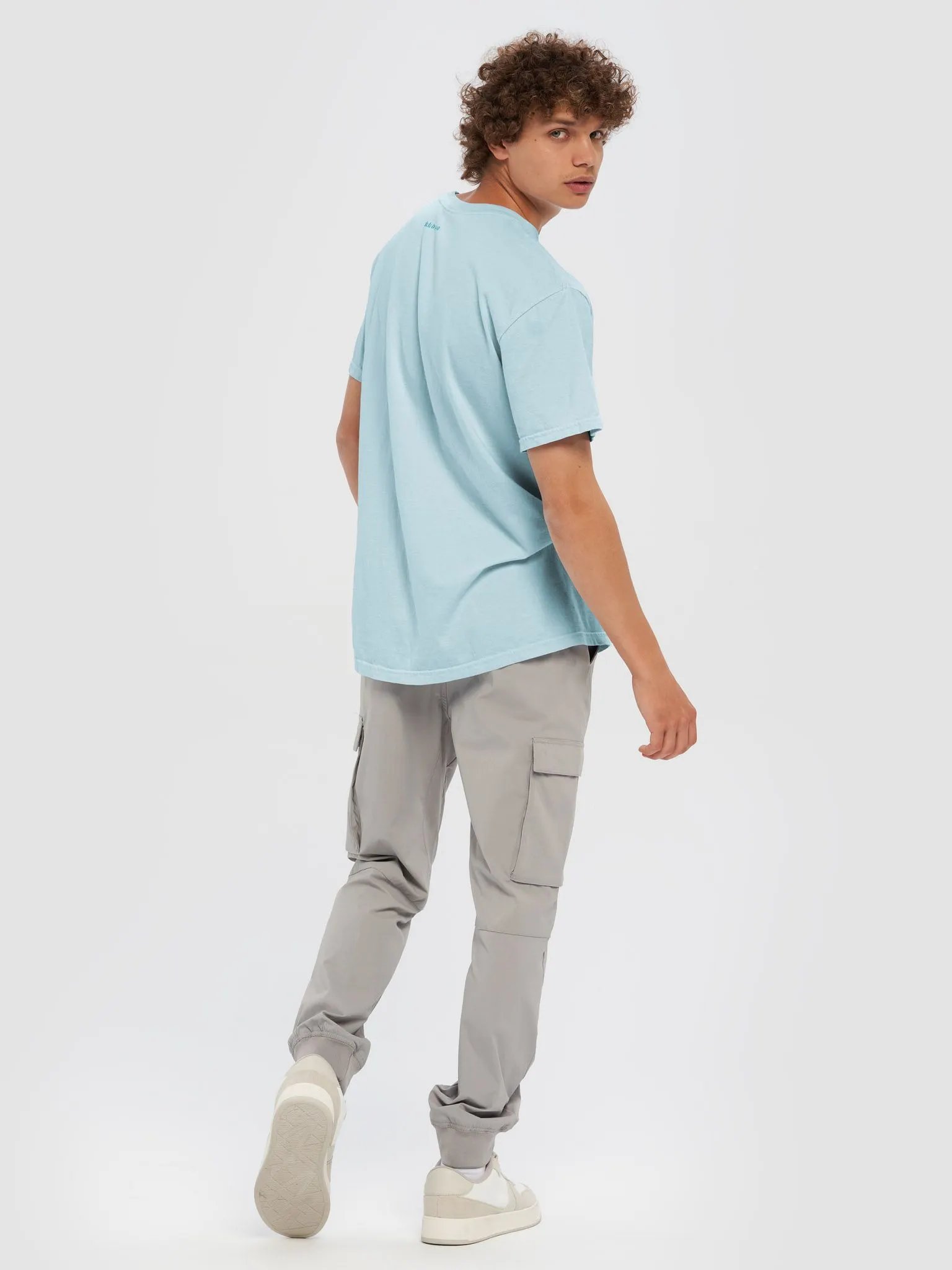 Flying Fish product image (23)