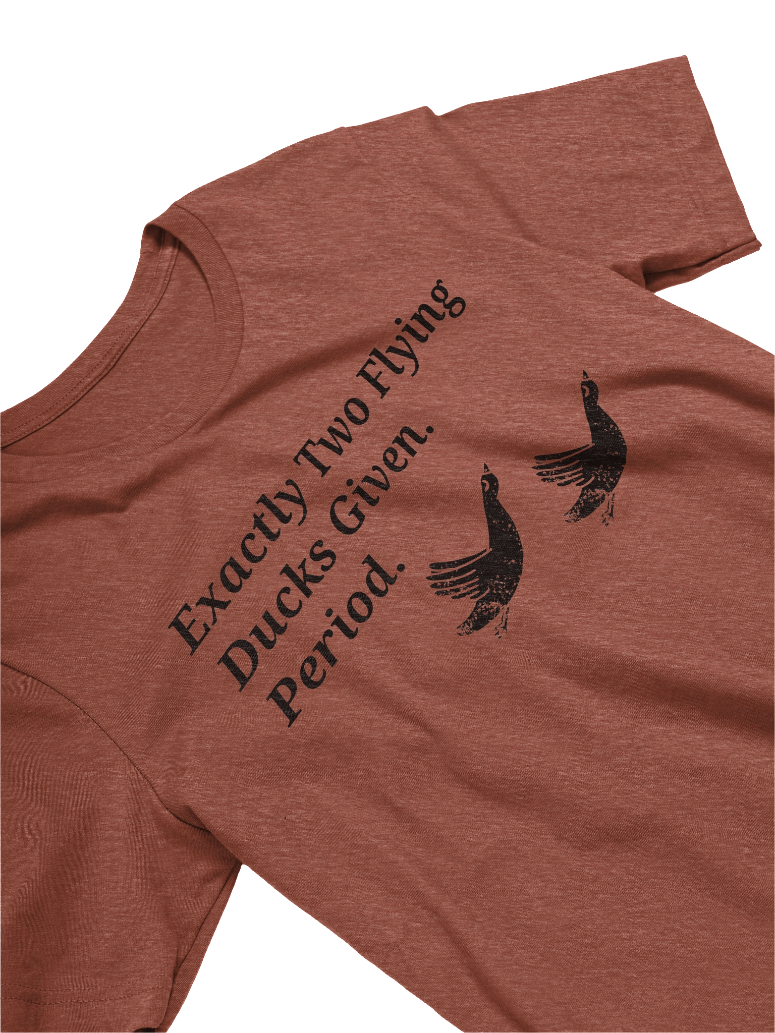 Exactly Two Flying Ducks Given product image (3)