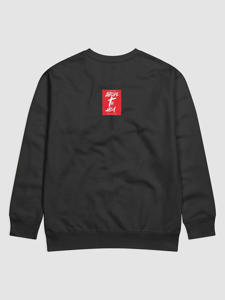 Abide In Him Christian Clothing - King Jesus Premium Sweatshirt product image (2)
