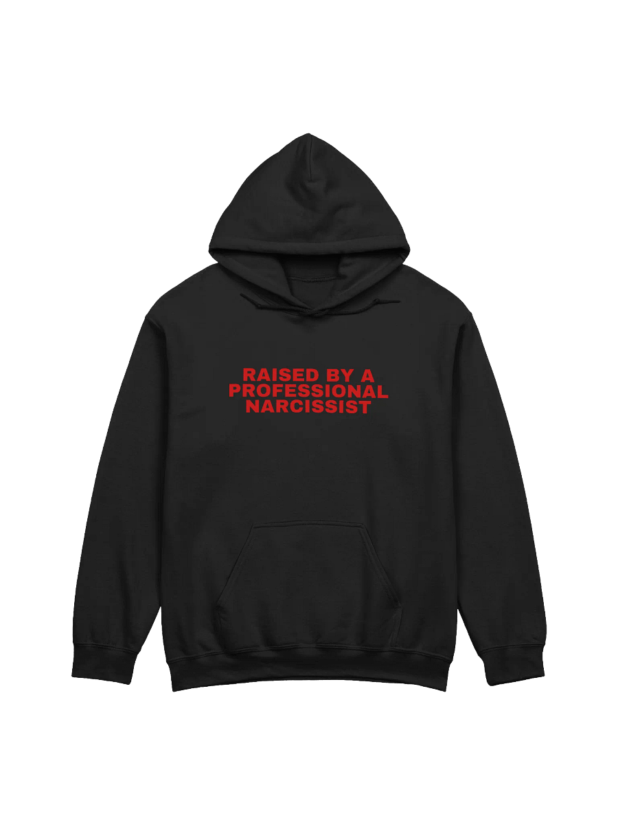 Raised By A Professional Narcissist Hoodie product image (1)