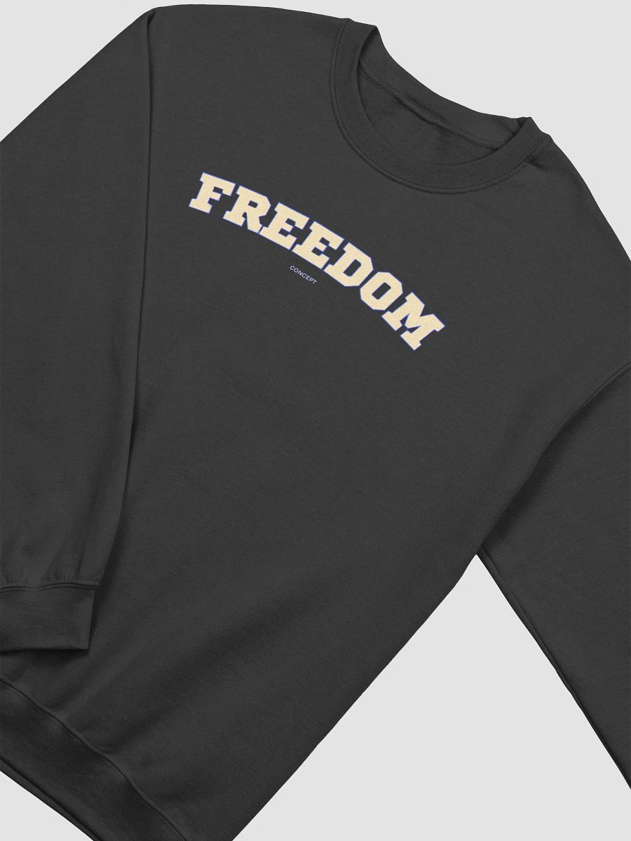 C-FOGRA39 (BLACK) FREEDOM CREWNECK product image (3)