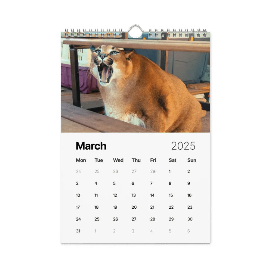 FLOPPA CALENDAR FOR 2025 product image (10)
