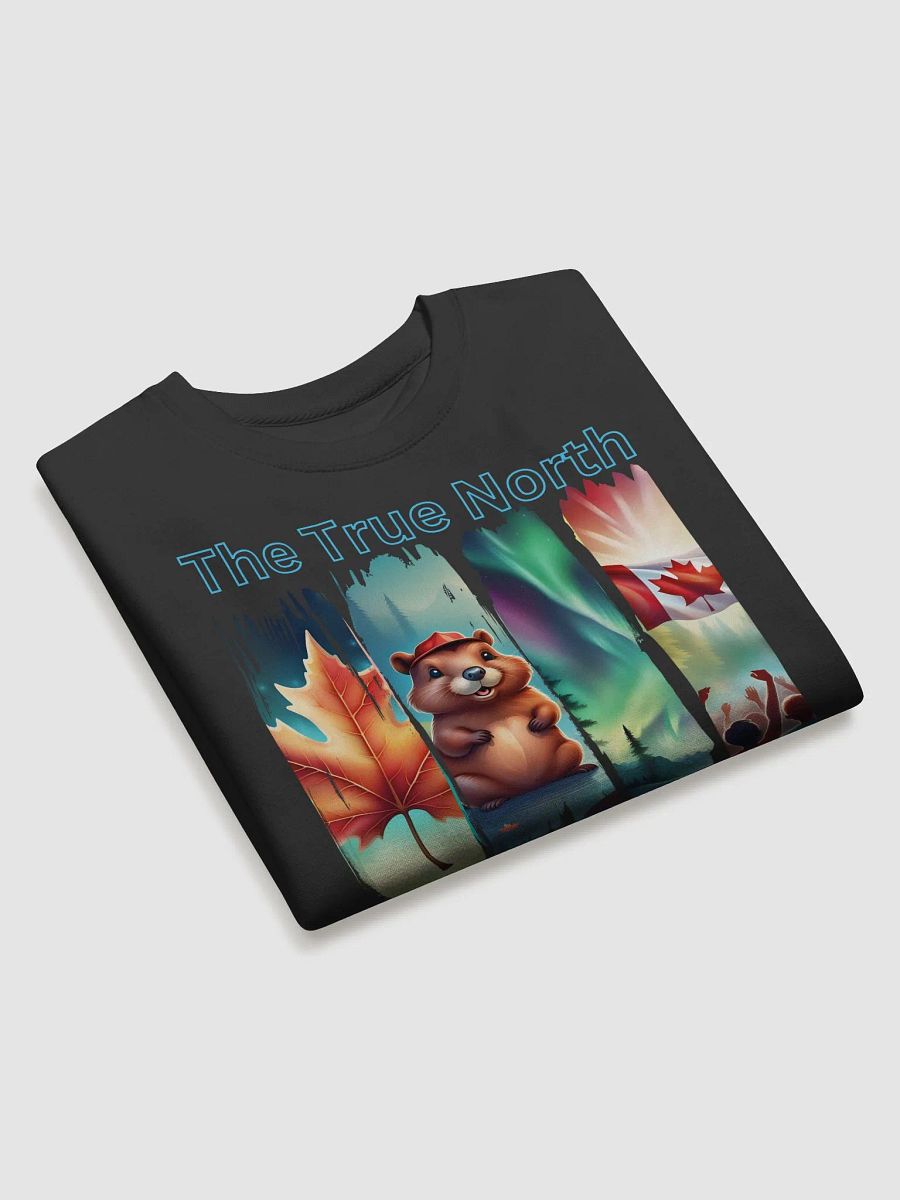 True North Vibes Sweatshirt product image (3)