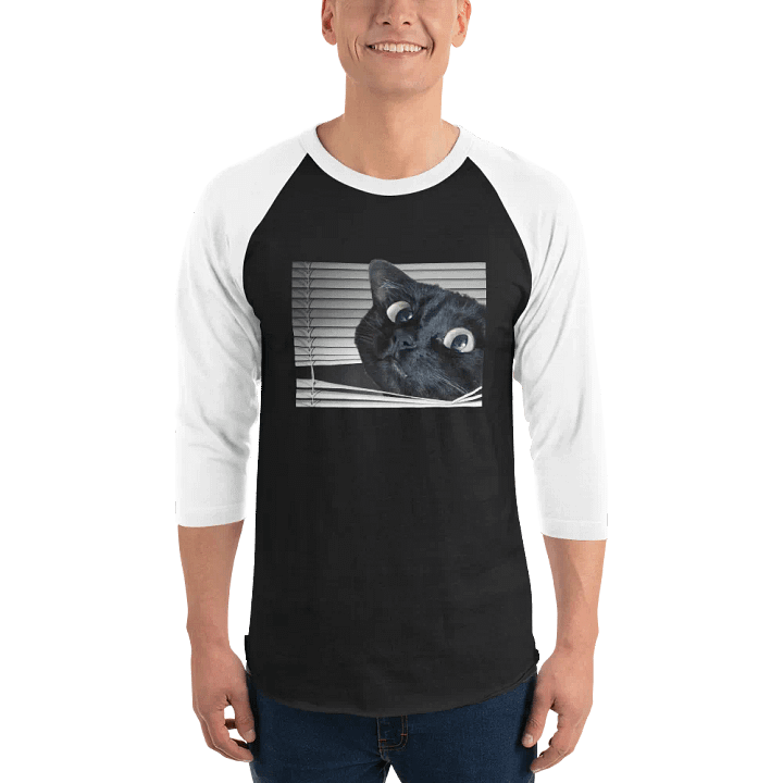 Memori Raglan Tee product image (1)