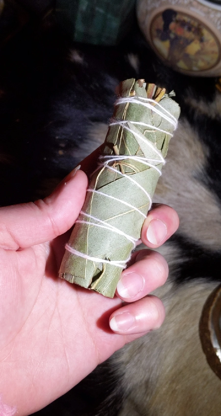 4 Inch Large Eucalyptus Smudge Stick product image (3)