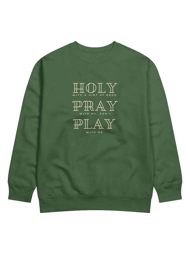 Holy With a Hint of Hood Sweatshirt (Dark Colors) product image (2)