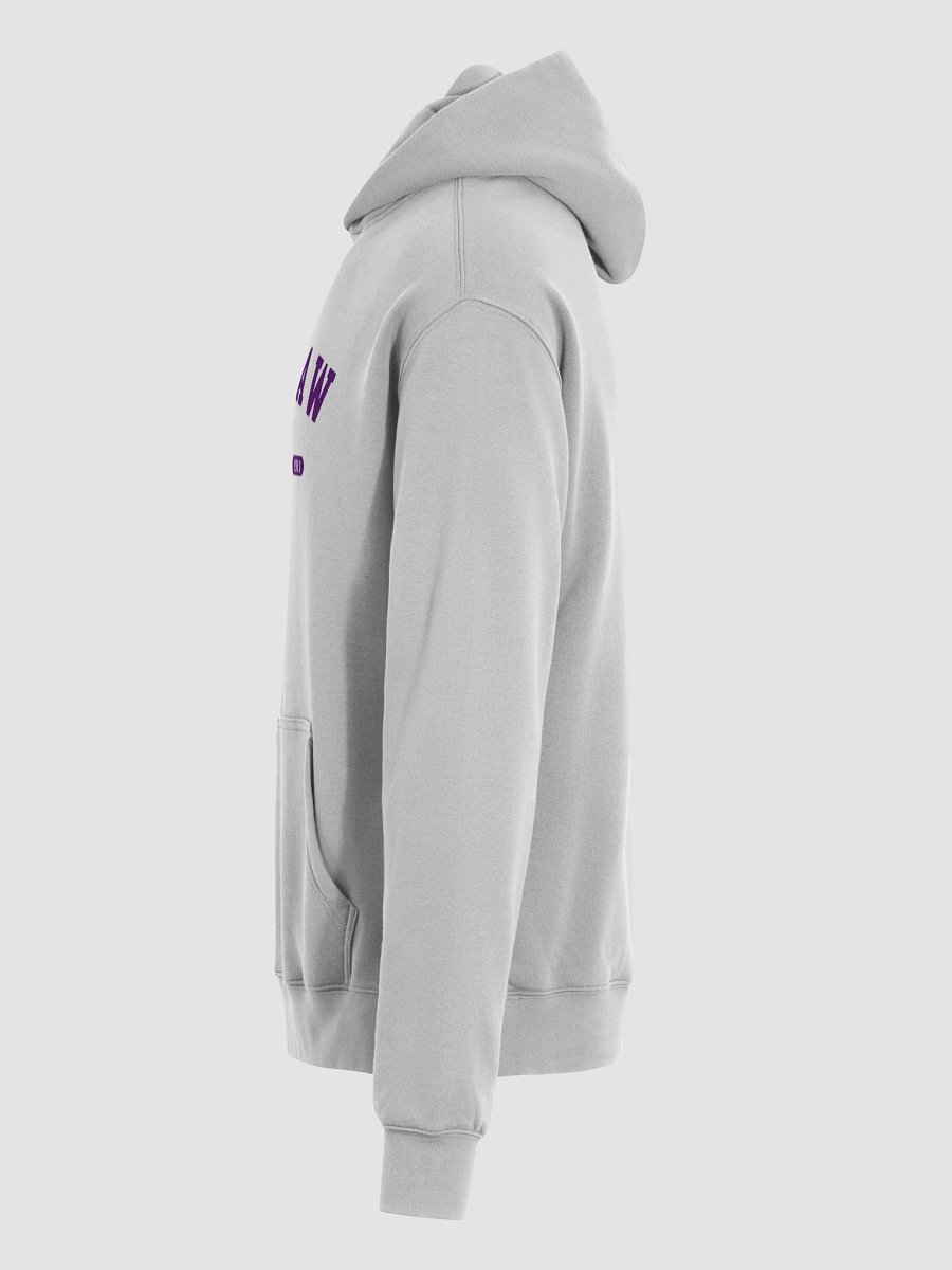 SWLAW Collegiate Seal 3- Hoodie product image (7)
