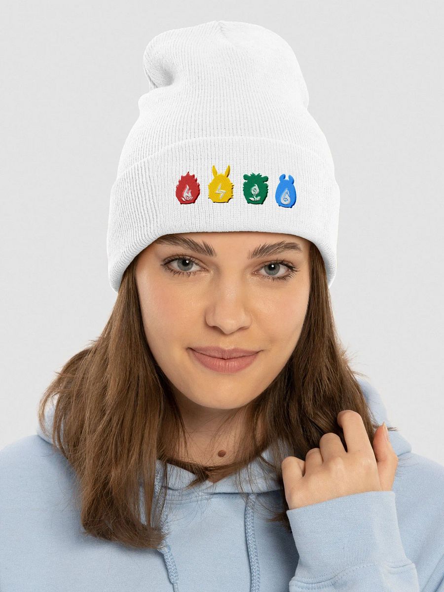 Starter Line-Up Beanie product image (3)