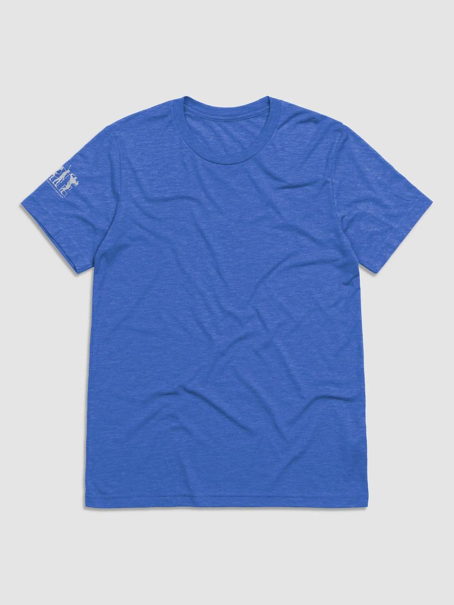 APEvolution: Iconic Back Logo Tee [Men's] product image (5)