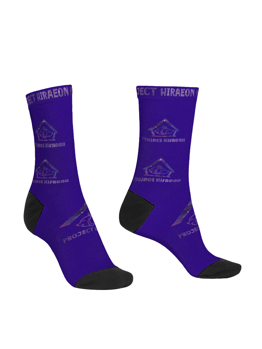 PROJECT HIRAEON SOCKS product image (3)