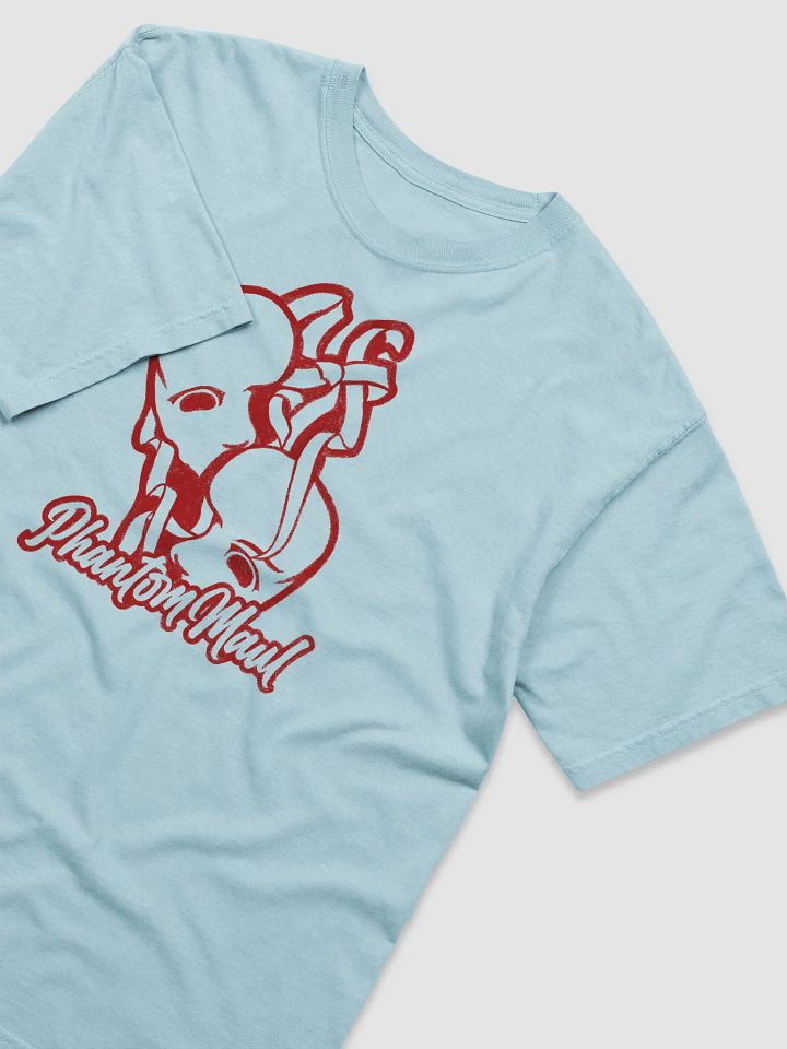 Red Big Logo Heavyweight Tee product image (25)